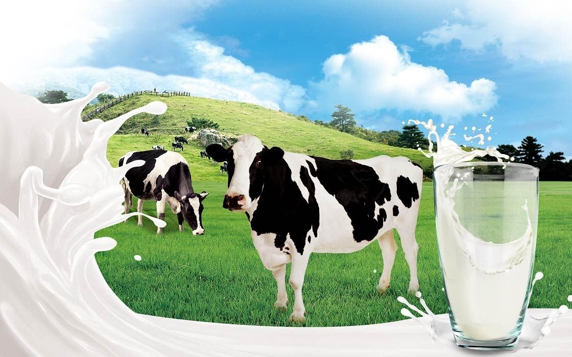 Cow Milk Retailers in Janakpuri